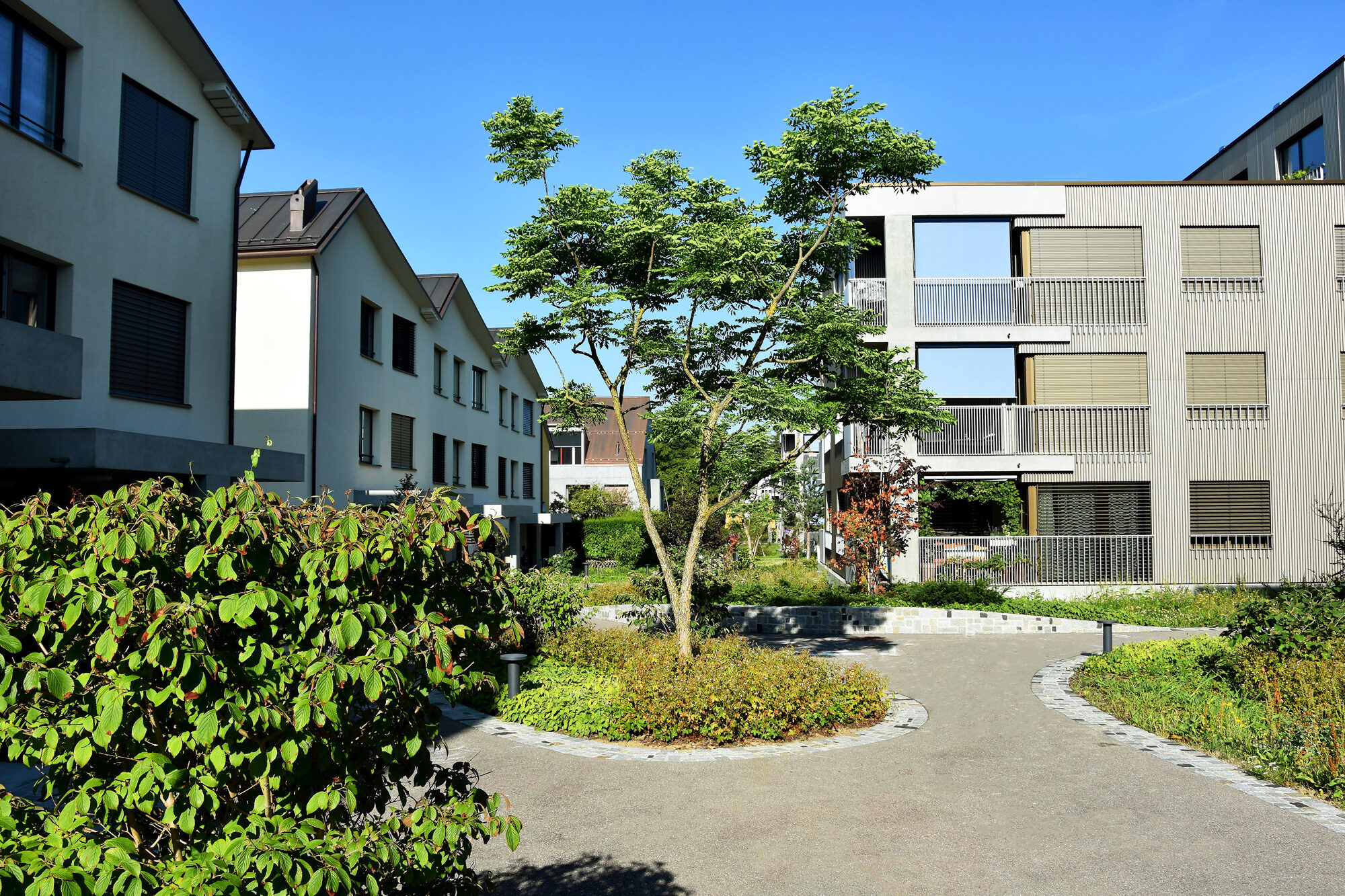 Bild Balliana Schubert Siedlung Riedgraben, Zürich
